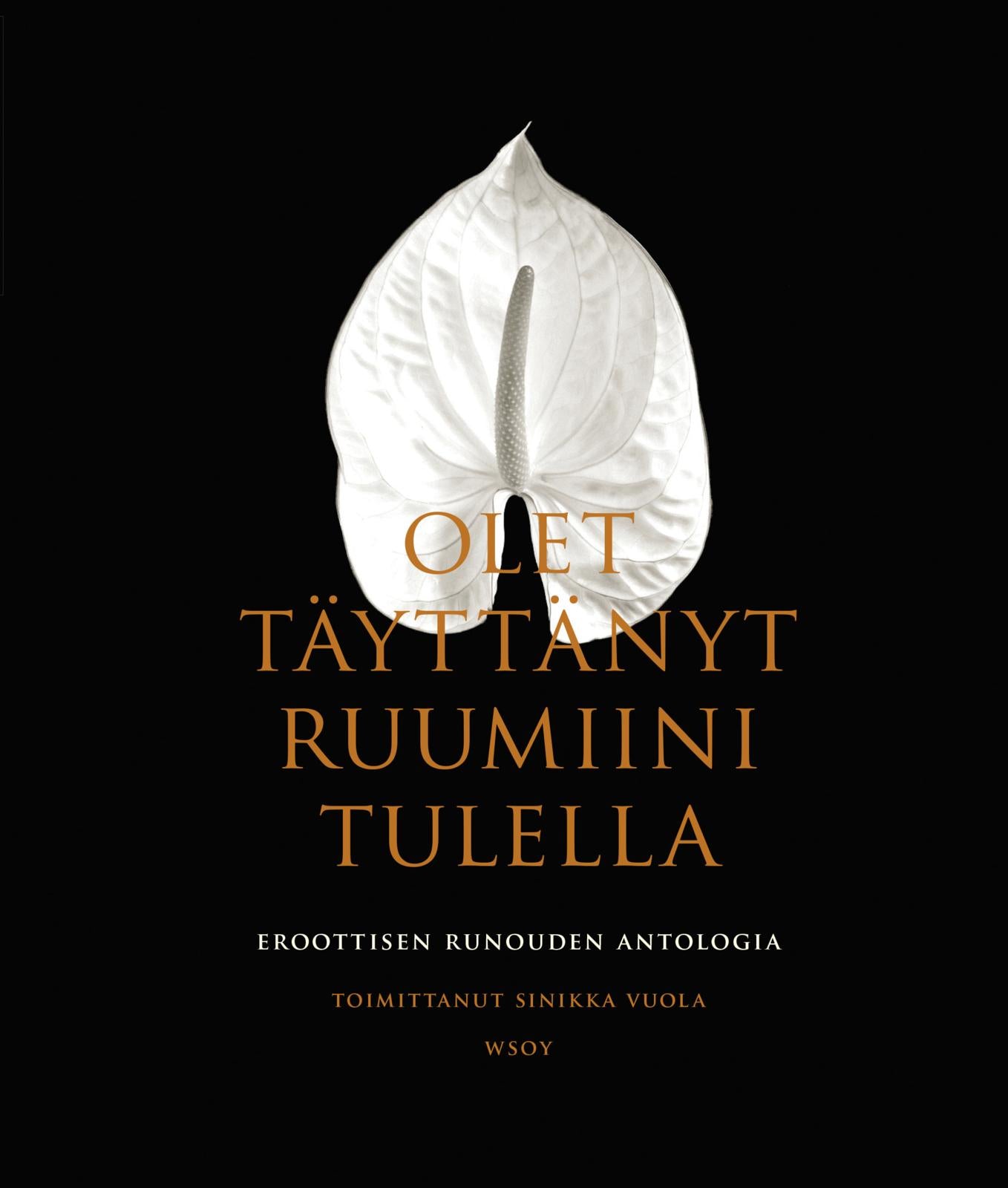 Etukansi. Sinikka Vuola Olet täyttänyt ruumiini tulella