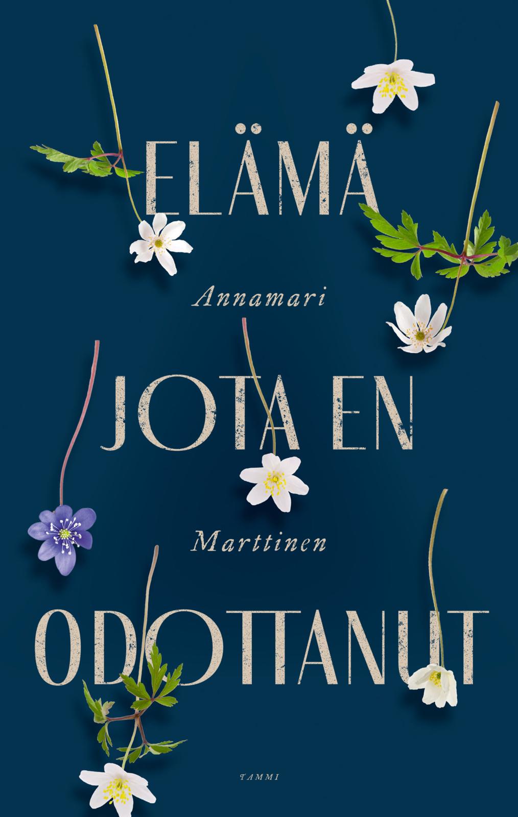 Etukansi. Annamari Marttinen Elämä jota en odottanut