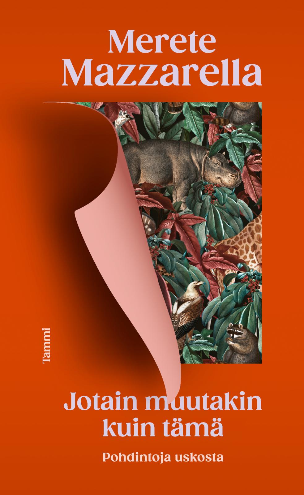 Etukansi. Merete Mazzarella Jotain muutakin kuin tämä