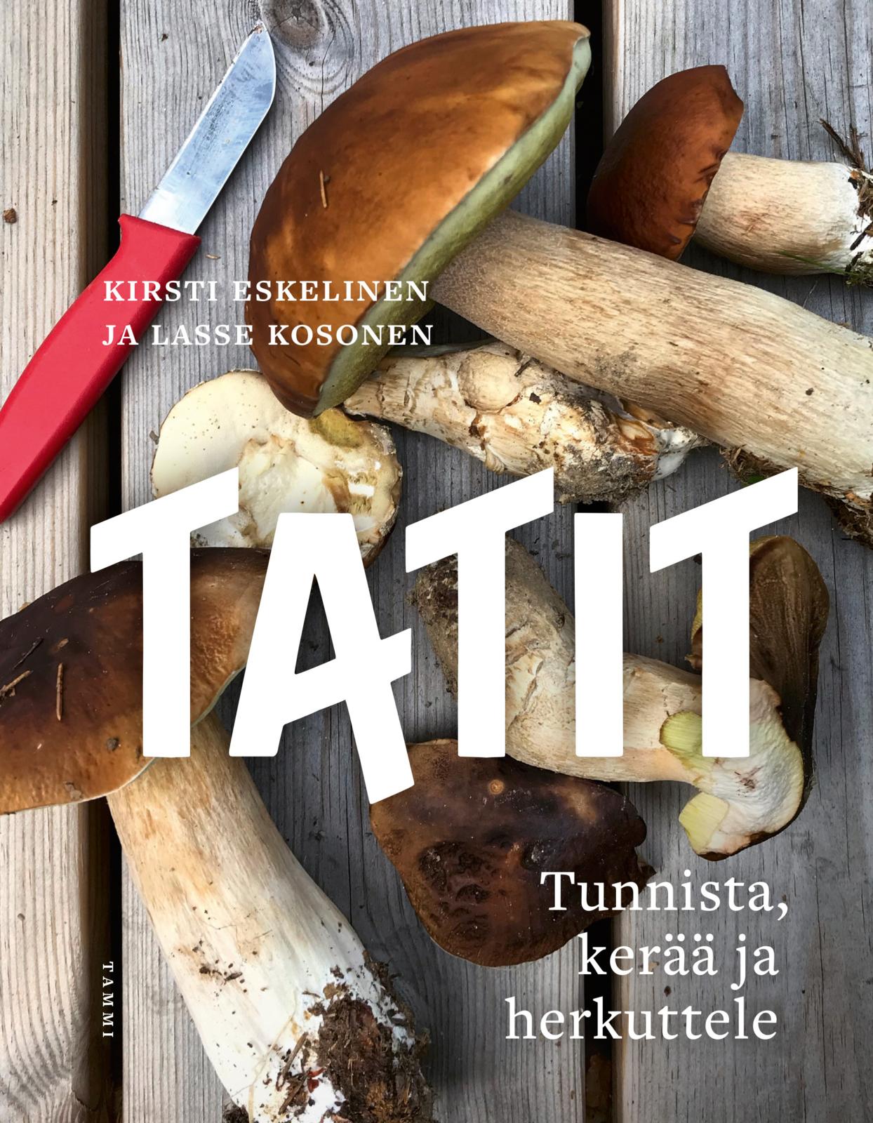 Etukansi. Lasse Kosonen Tatit