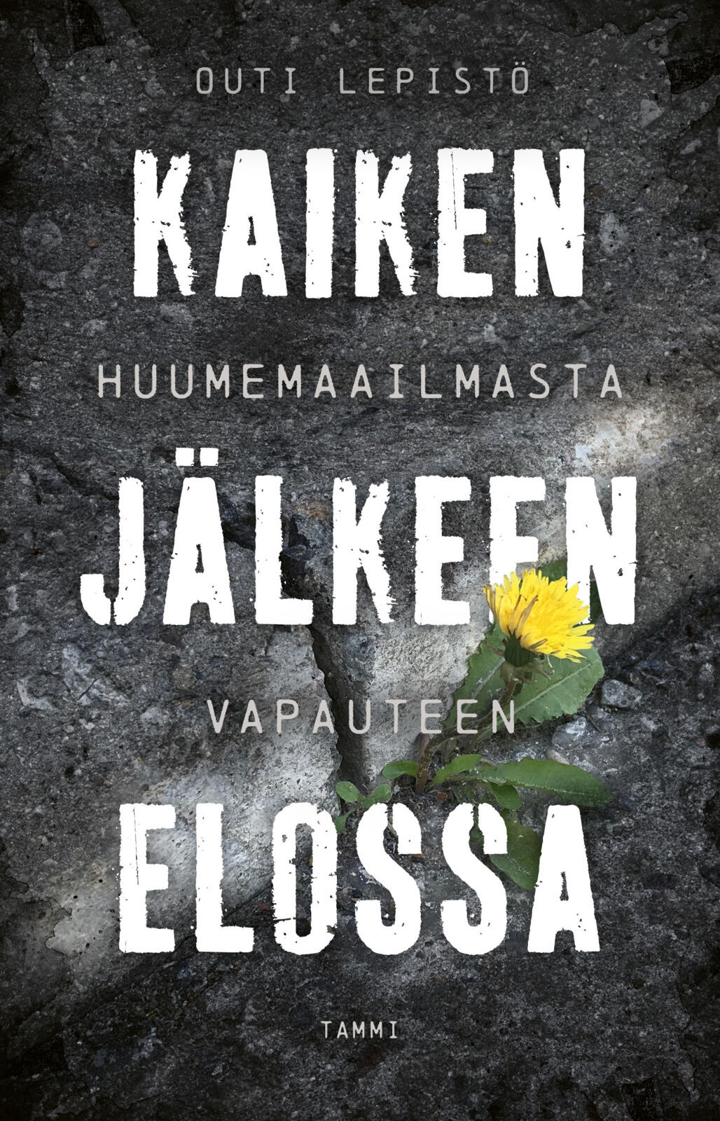Etukansi. Outi Lepistö Kaiken jälkeen elossa