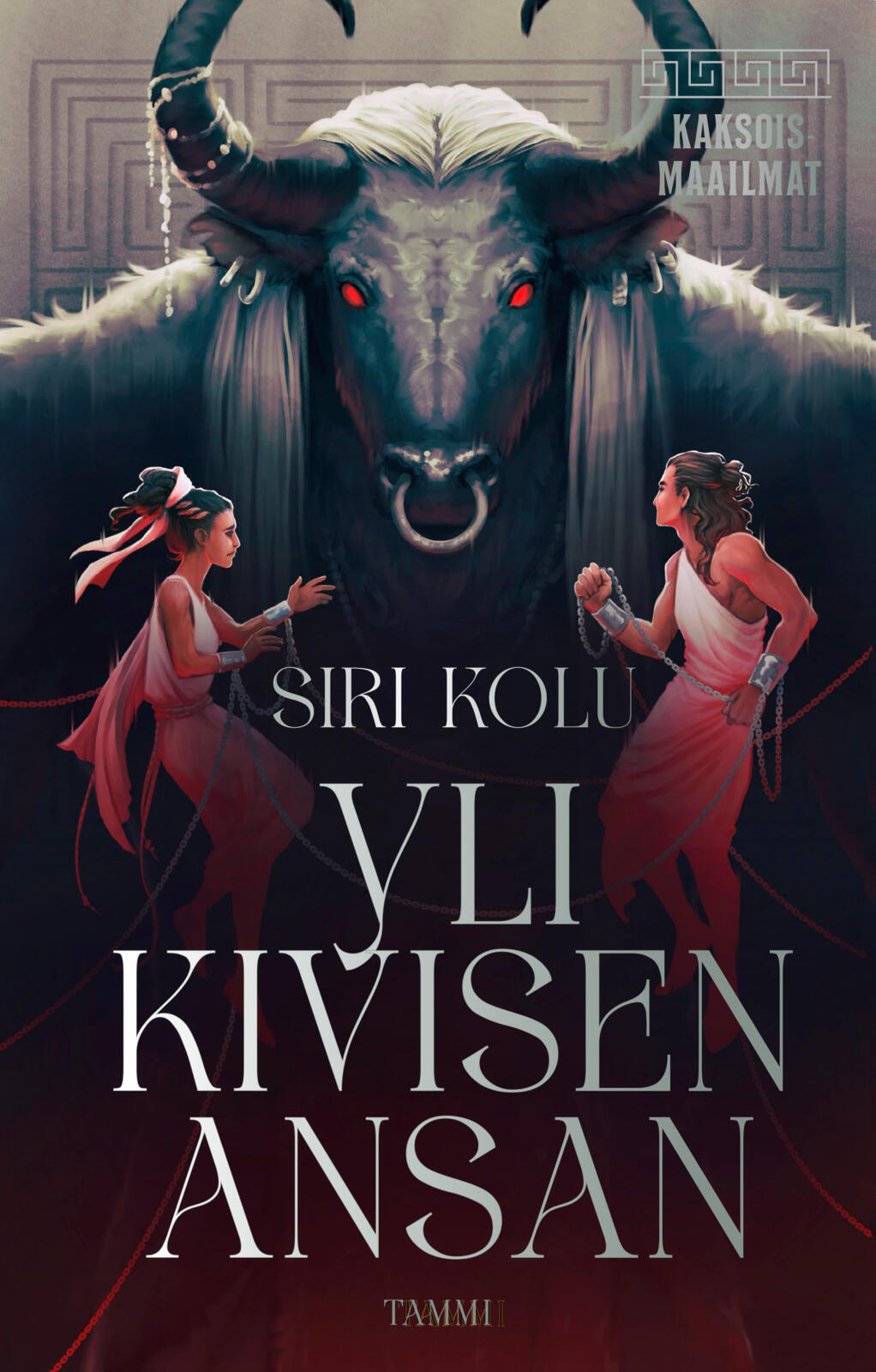Etukansi. Siri Kolu Yli kivisen ansan