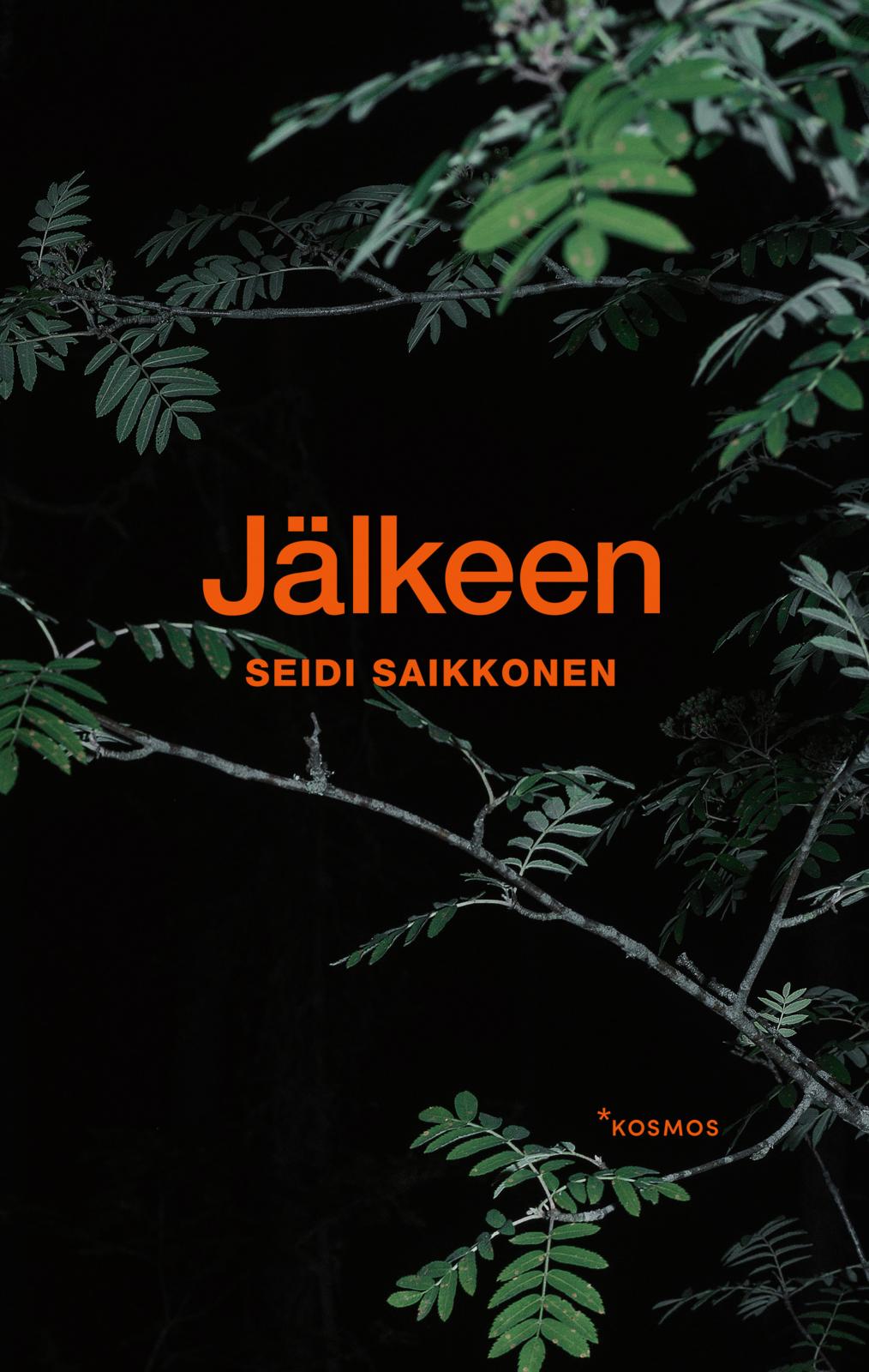 Etukansi. Seidi Saikkonen Jälkeen