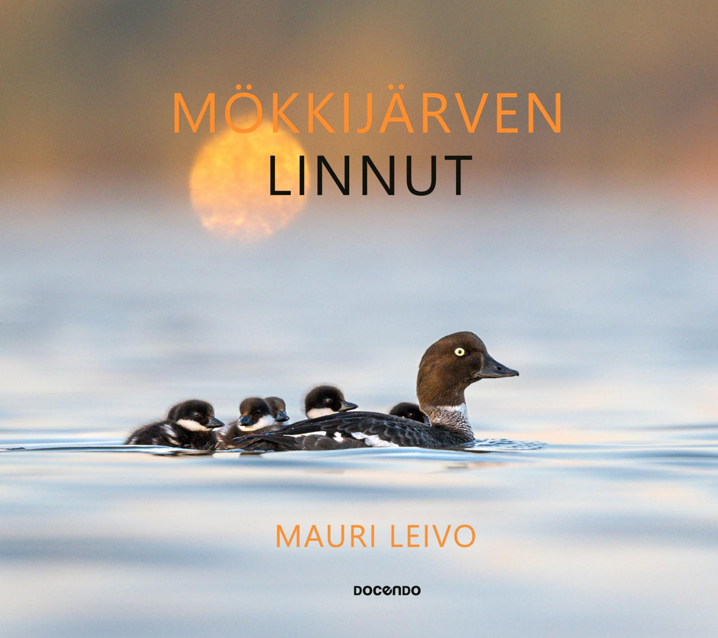 Etukansi. Mauri Leivo Mökkijärven linnut