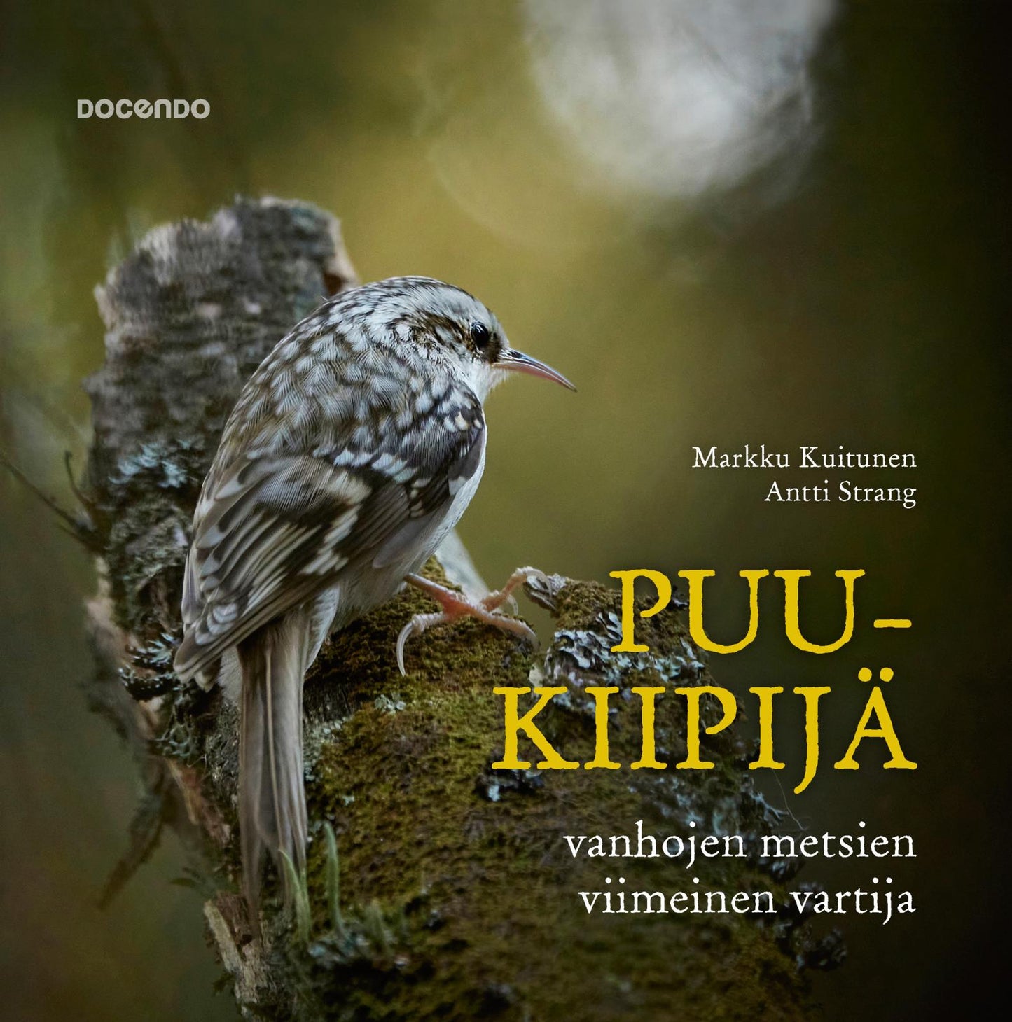 Etukansi. Markku Kuitunen. Puukiipijä