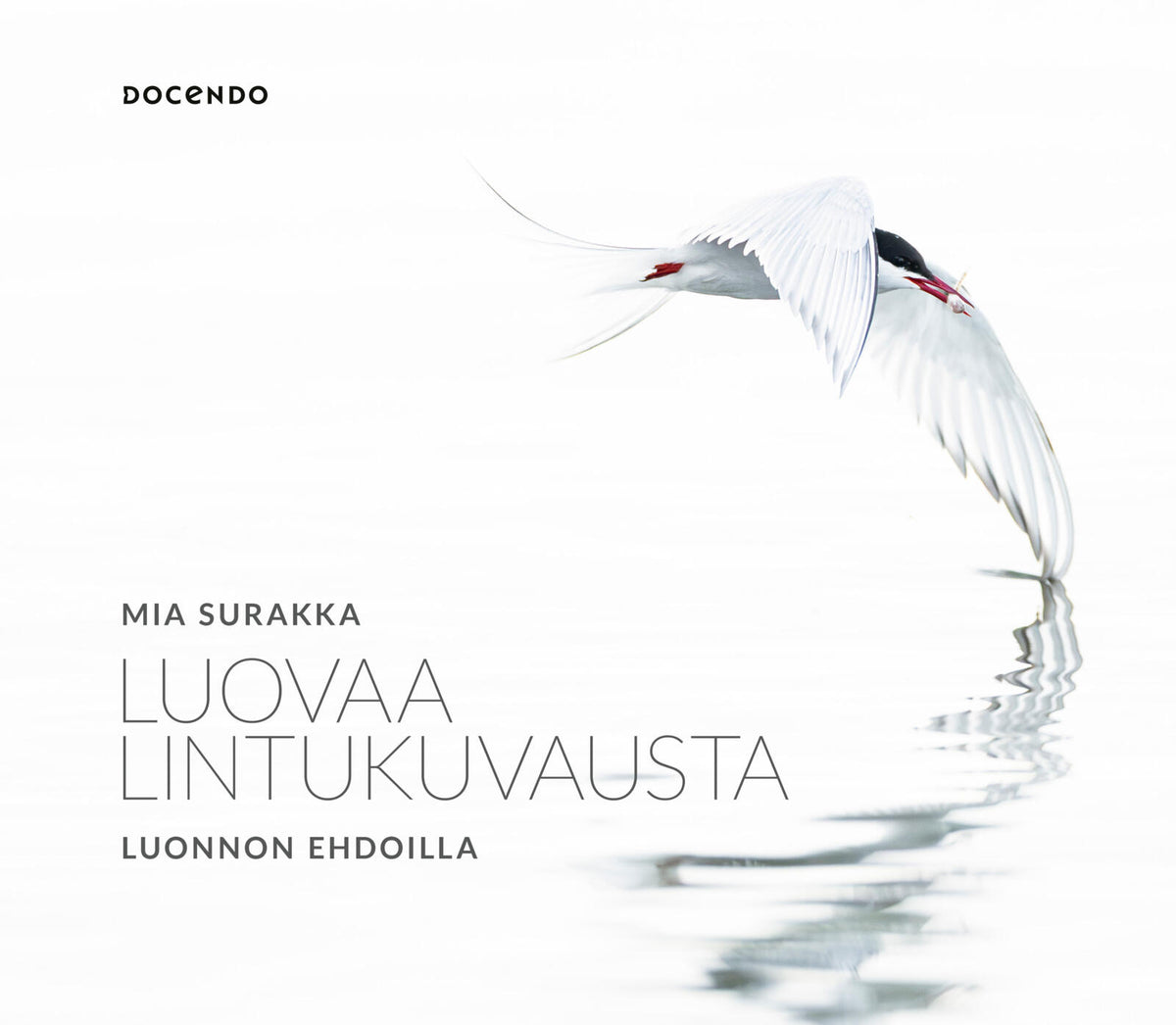 Etukansi. Mia Surakka Luovaa lintukuvausta luonnon ehdoilla