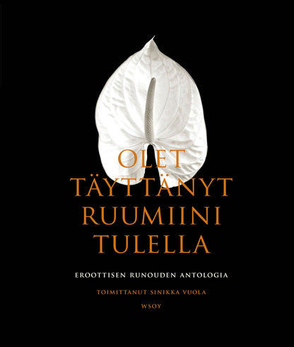 Etukansi. Sinikka Vuola. Olet täyttänyt ruumiini tulella