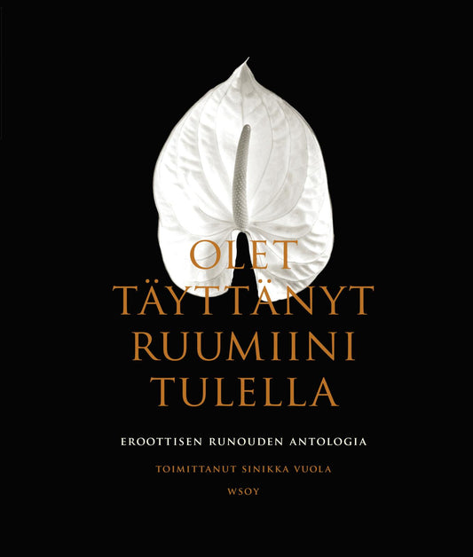 Etukansi. Olet täyttänyt ruumiini tulella.