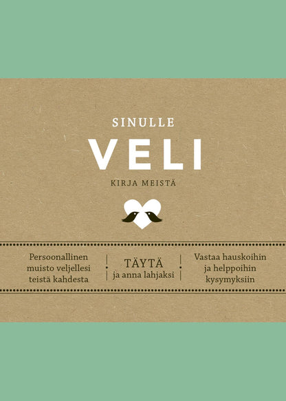 Etukansi. Elma van Vliet. Sinulle, veli