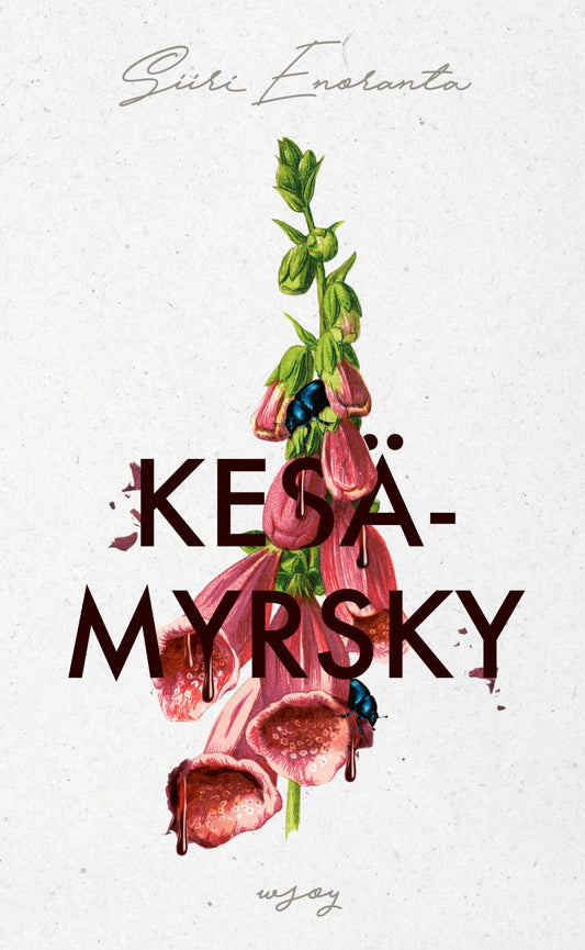 Etukansi. Siiri Enoranta. Kesämyrsky.