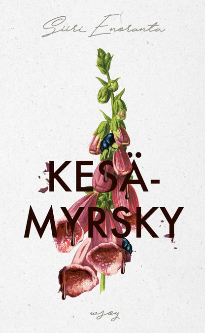 Etukansi. Siiri Enoranta. Kesämyrsky