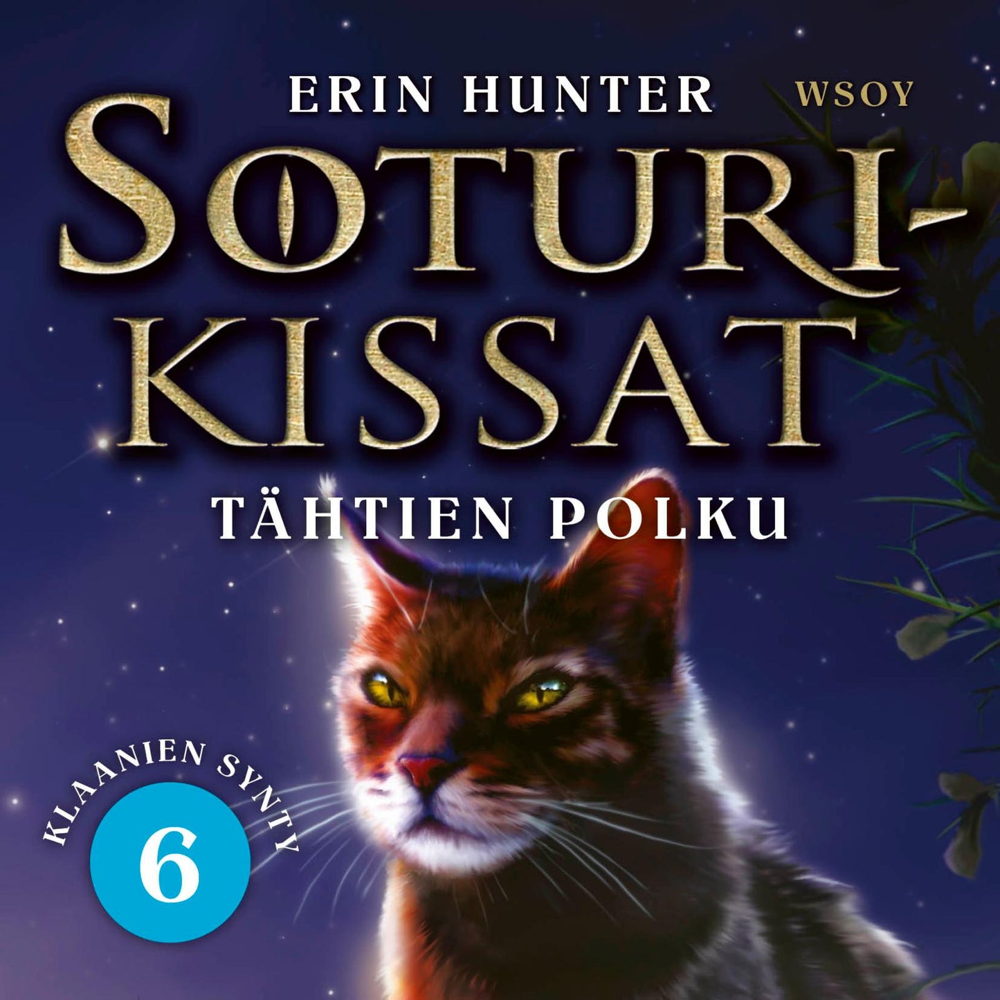 Etukansi. Erin Hunter. Soturikissat: Klaanien synty 6: Tähtien polku