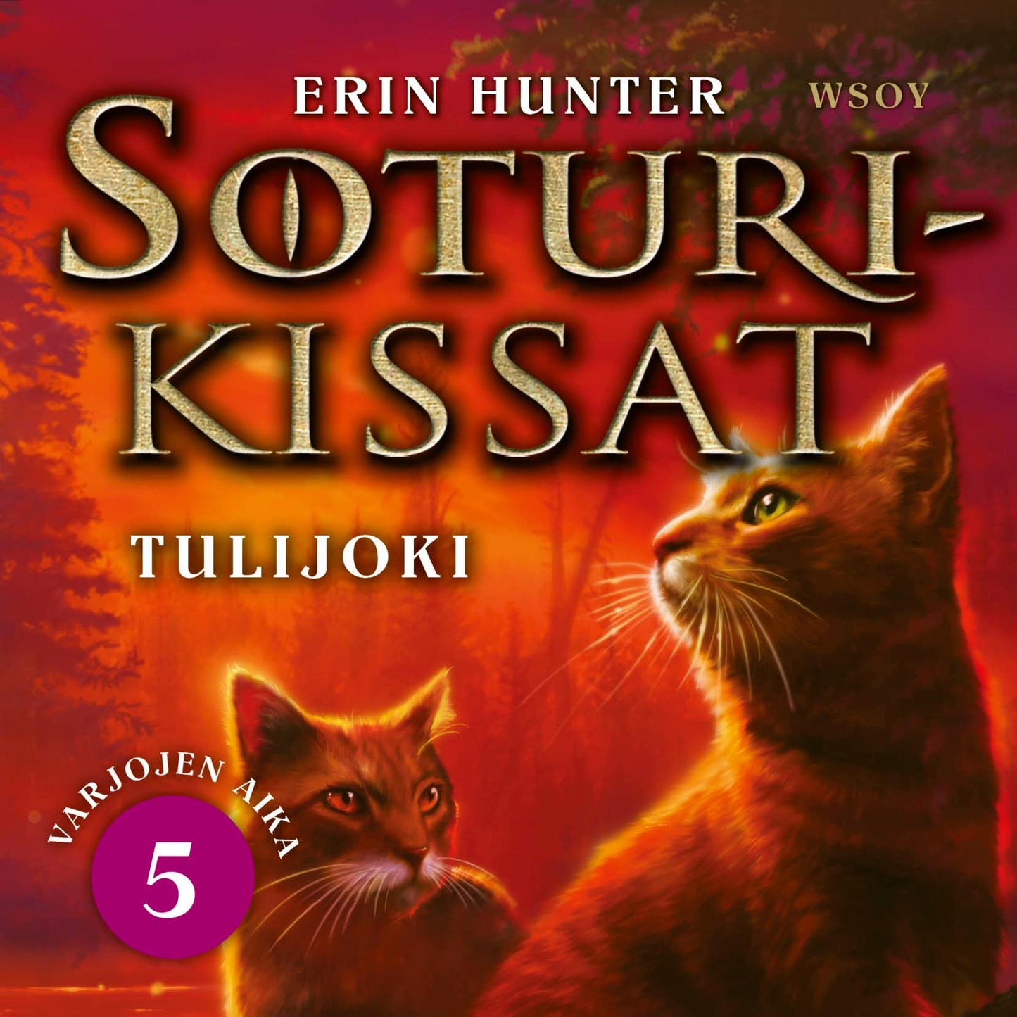 Etukansi. Erin Hunter. Soturikissat: Varjojen aika 5: Tulijoki