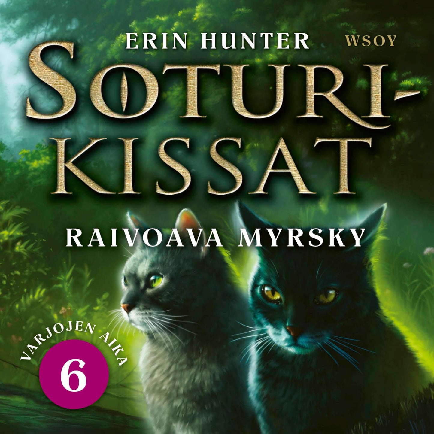Etukansi. Erin Hunter. Soturikissat: Varjojen aika 6: Raivoava myrsky