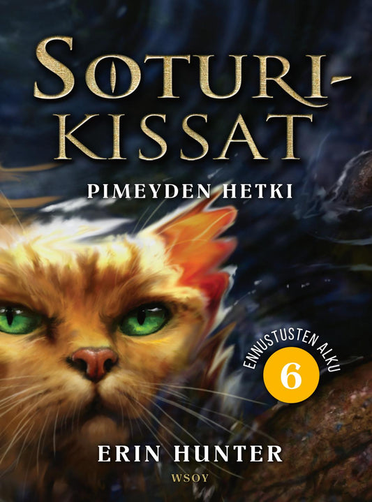 Etukansi. Erin Hunter. Soturikissat: Ennustusten alku 6: Pimeyden hetki.