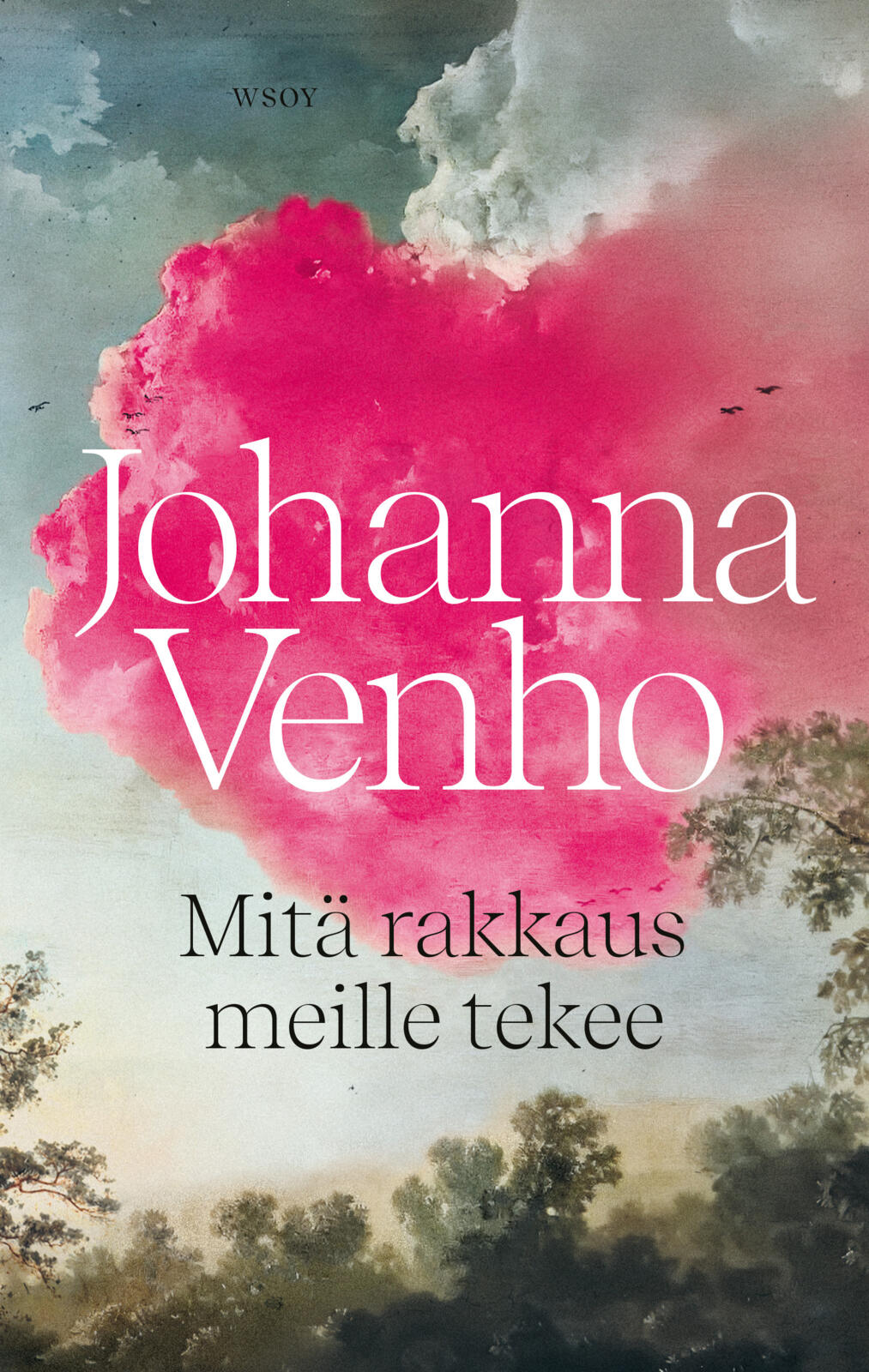 Etukansi. Johanna Venho Mitä rakkaus meille tekee