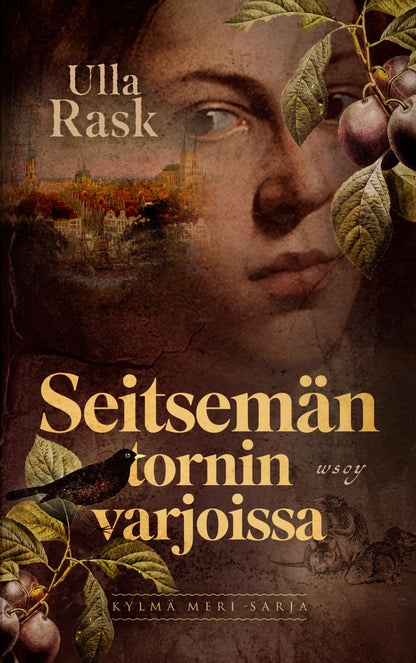 Etukansi. Ulla Rask Seitsemän tornin varjoissa 