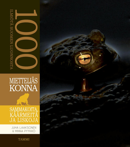 Etukansi. Juha Laaksonen. Minna Pyykkö. Mietteliäs konna.