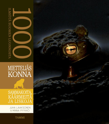 Etukansi. Juha Laaksonen. Mietteliäs konna