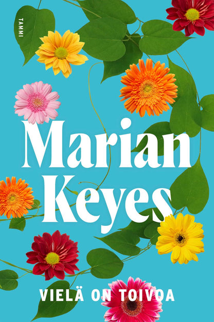 Etukansi. Marian Keyes. Vielä on toivoa