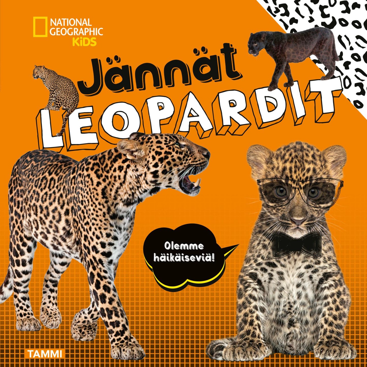 Etukansi. Crispin Boyer. National Geographic. Jännät leopardit