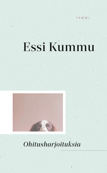 Etukansi. Essi Kummu Ohitusharjoituksia