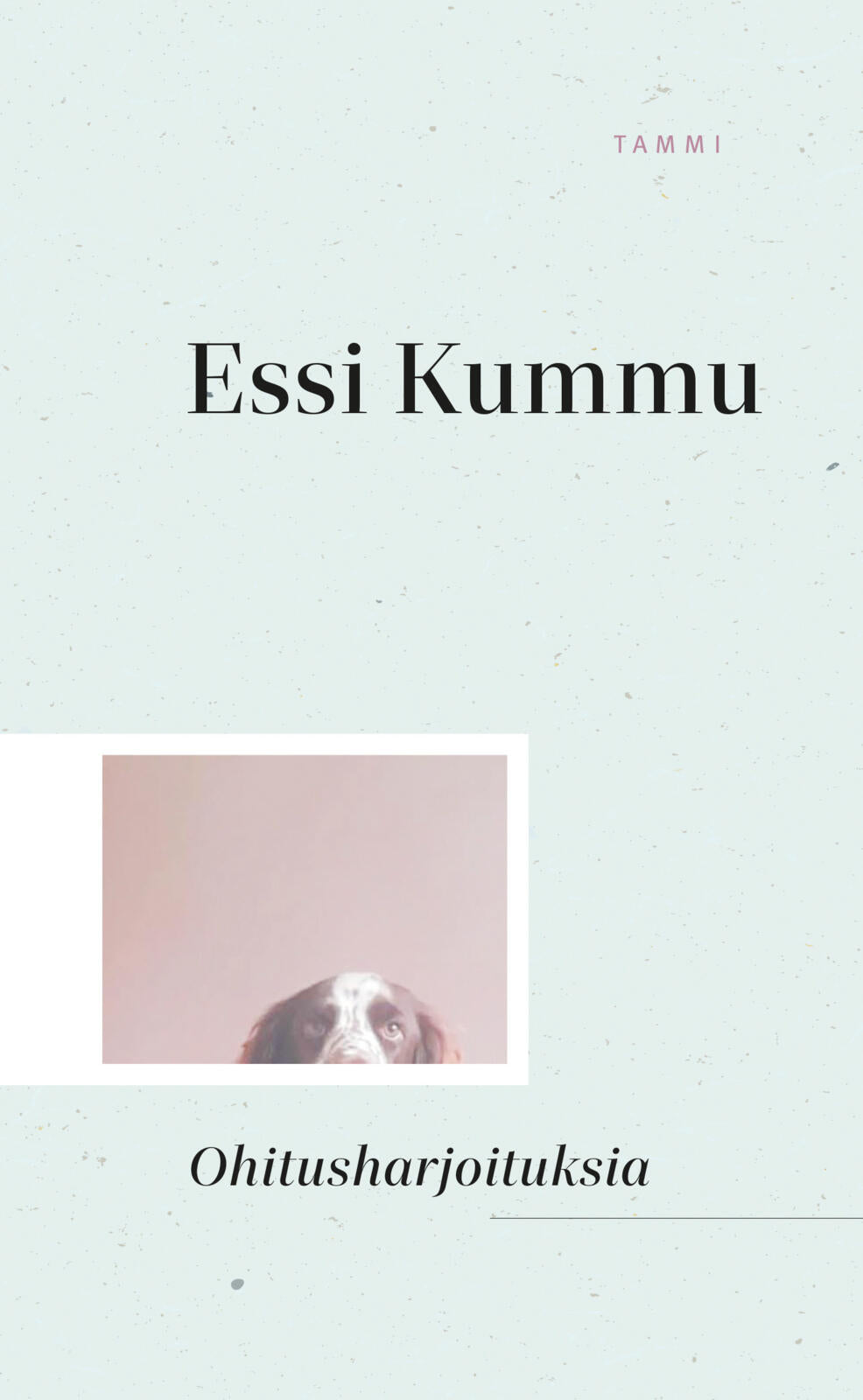 Etukansi. Essi Kummu Ohitusharjoituksia
