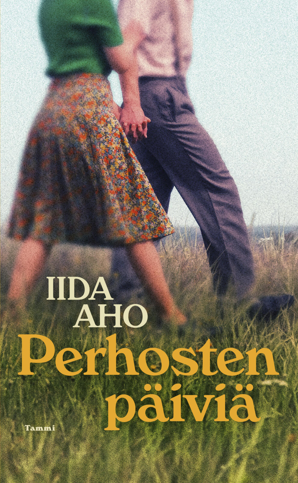Etukansi. Iida Aho Perhosten päiviä