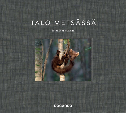 Etukansi. Mika Honkalinna. Talo metsässä.