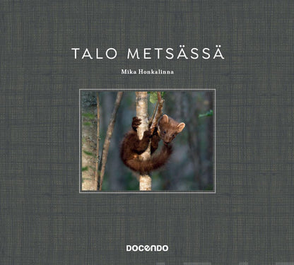 Etukansi. Mika Honkalinna. Talo metsässä