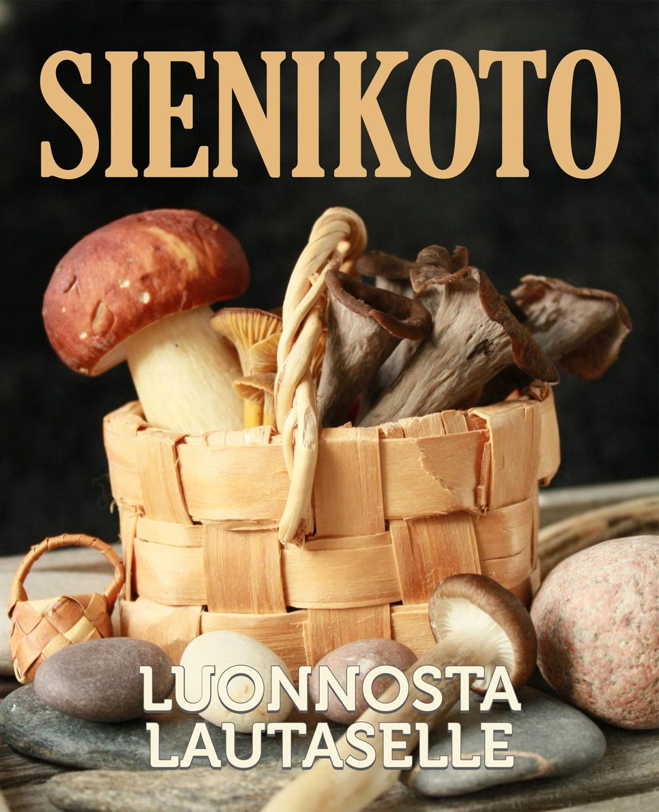 Etukansi. Anu Palevaara Sienikoto