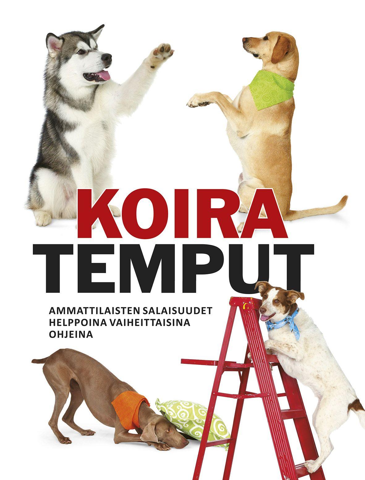 Etukansi. Kyra Sundance Koiratemput