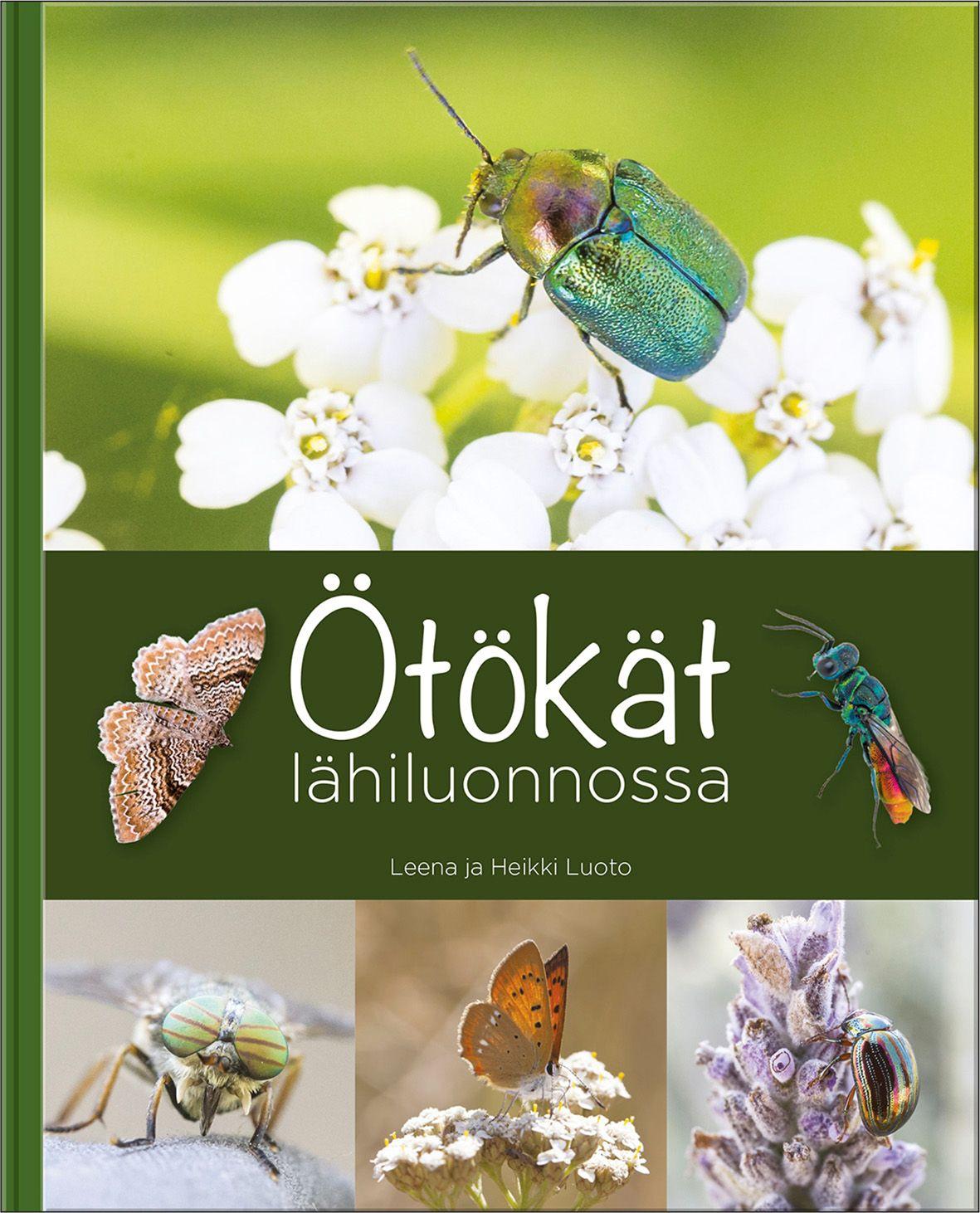 Etukansi. Leena Luoto Ötökät lähiluonnossa