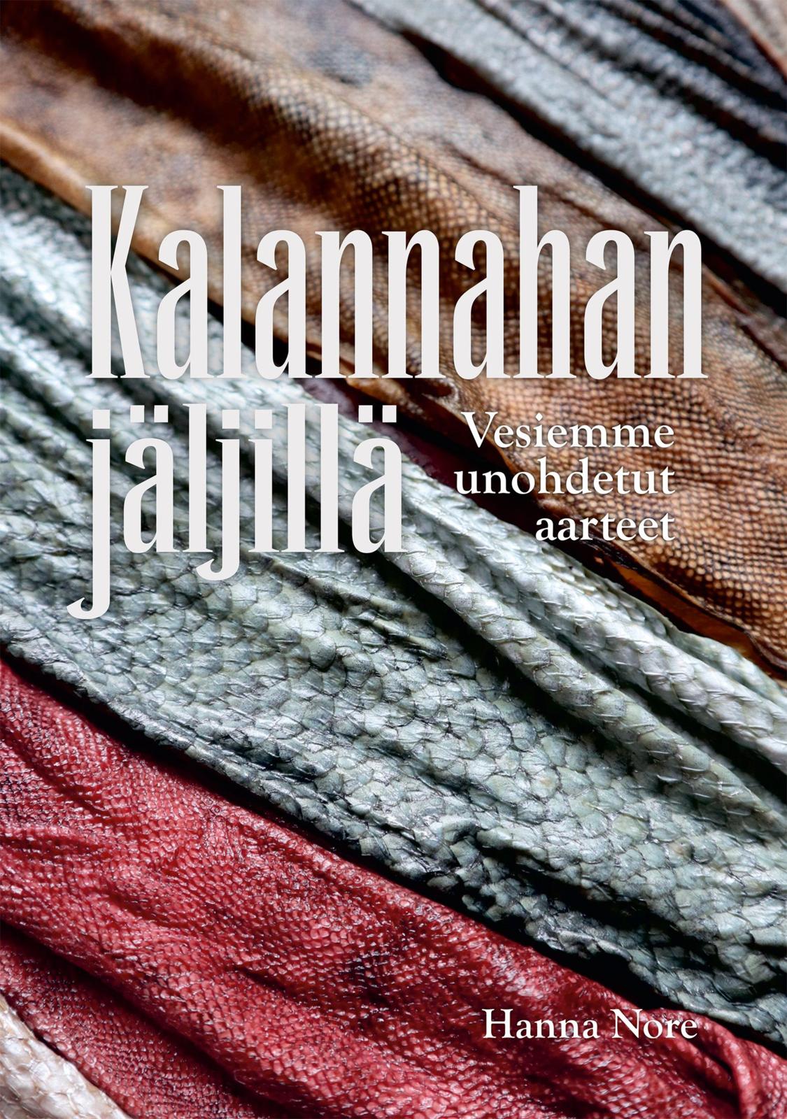 Etukansi. Hanna Nore Kalannahan jäljillä - Vesiemme unohdetut aarteet