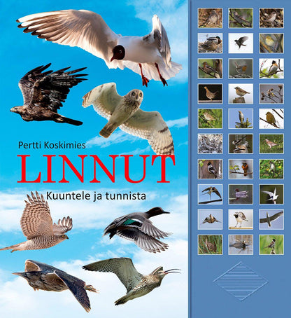 Etukansi. Pertti Koskimies Linnut - kuuntele ja tunnista