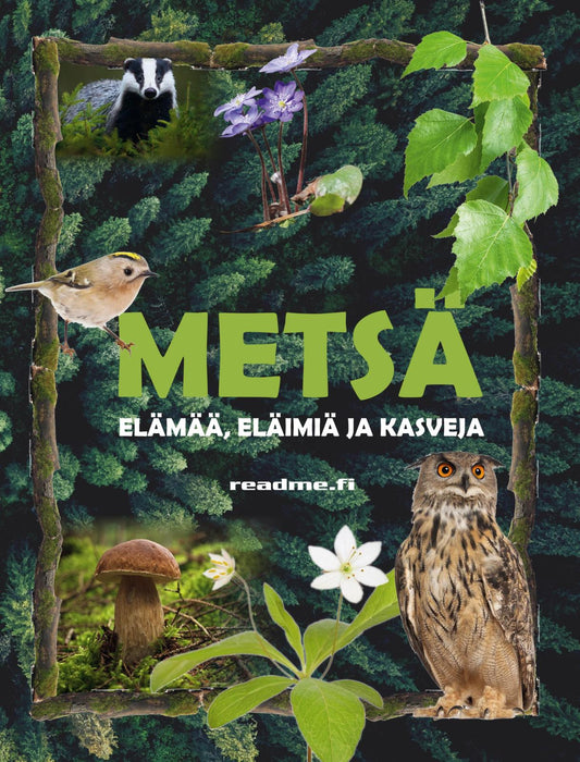 Etukansi. Viljami Ovaskainen. Minna Ovaskainen. Metsä - elämää, eläimiä ja kasveja.
