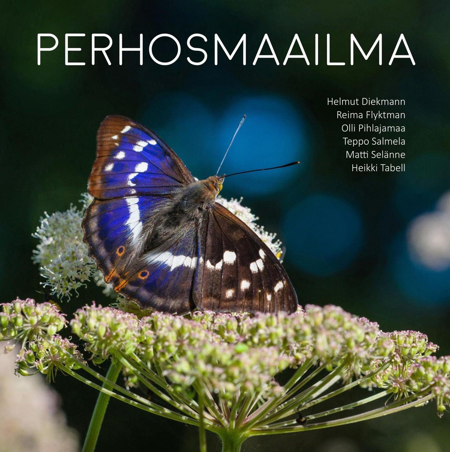 Etukansi. Helmut Diekmann Perhosmaailma