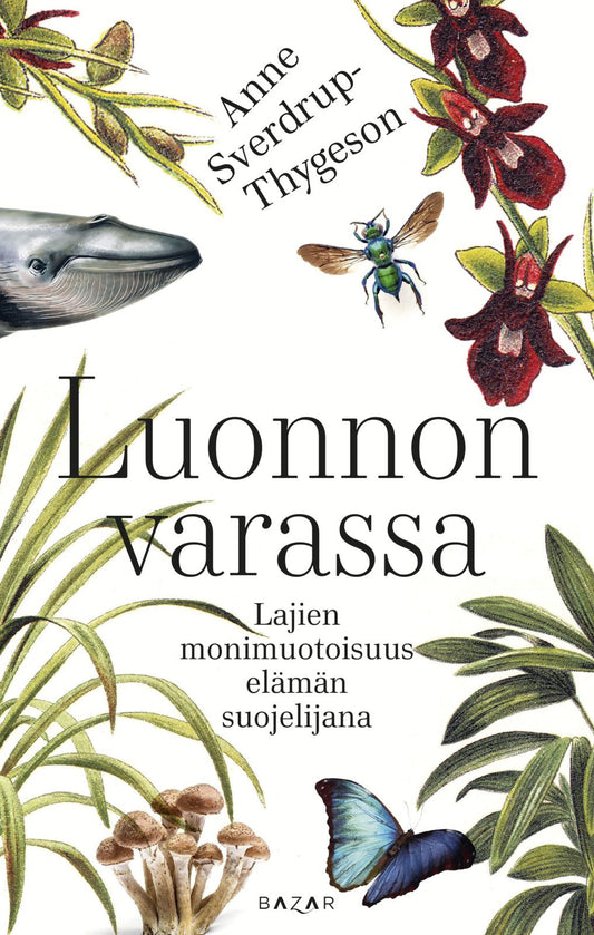 Etukansi. Anne Sverdrup-Thygeson. Luonnon varassa.