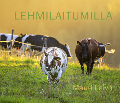 Etukansi. Mauri Leivo Lehmilaitumilla