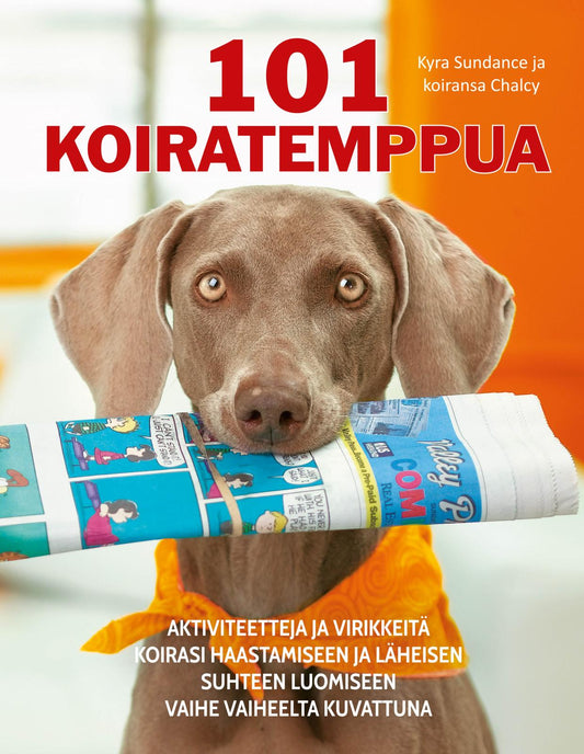 Etukansi. Kyra Sundance. 101 koiratemppua.