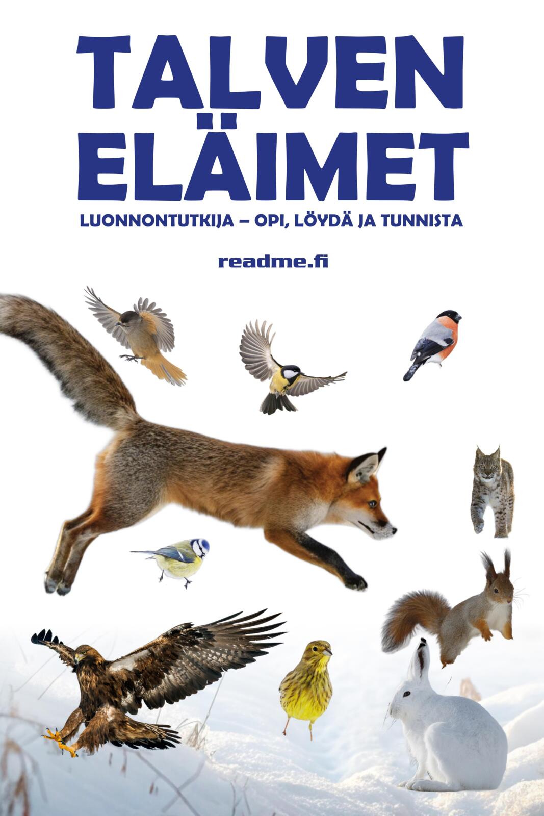 Etukansi. Viljami Ovaskainen Talven eläimet luonnontutkija - Opi, löydä ja tunnista