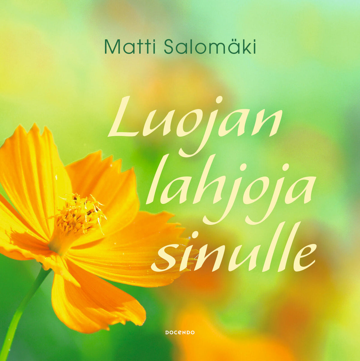 Etukansi. Matti Salomäki Luojan lahjoja sinulle 