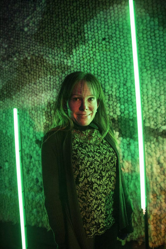 Etukansi. Ninni Schulman. Tervetuloa kotiin.